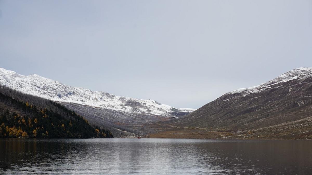 DSC03856.jpg