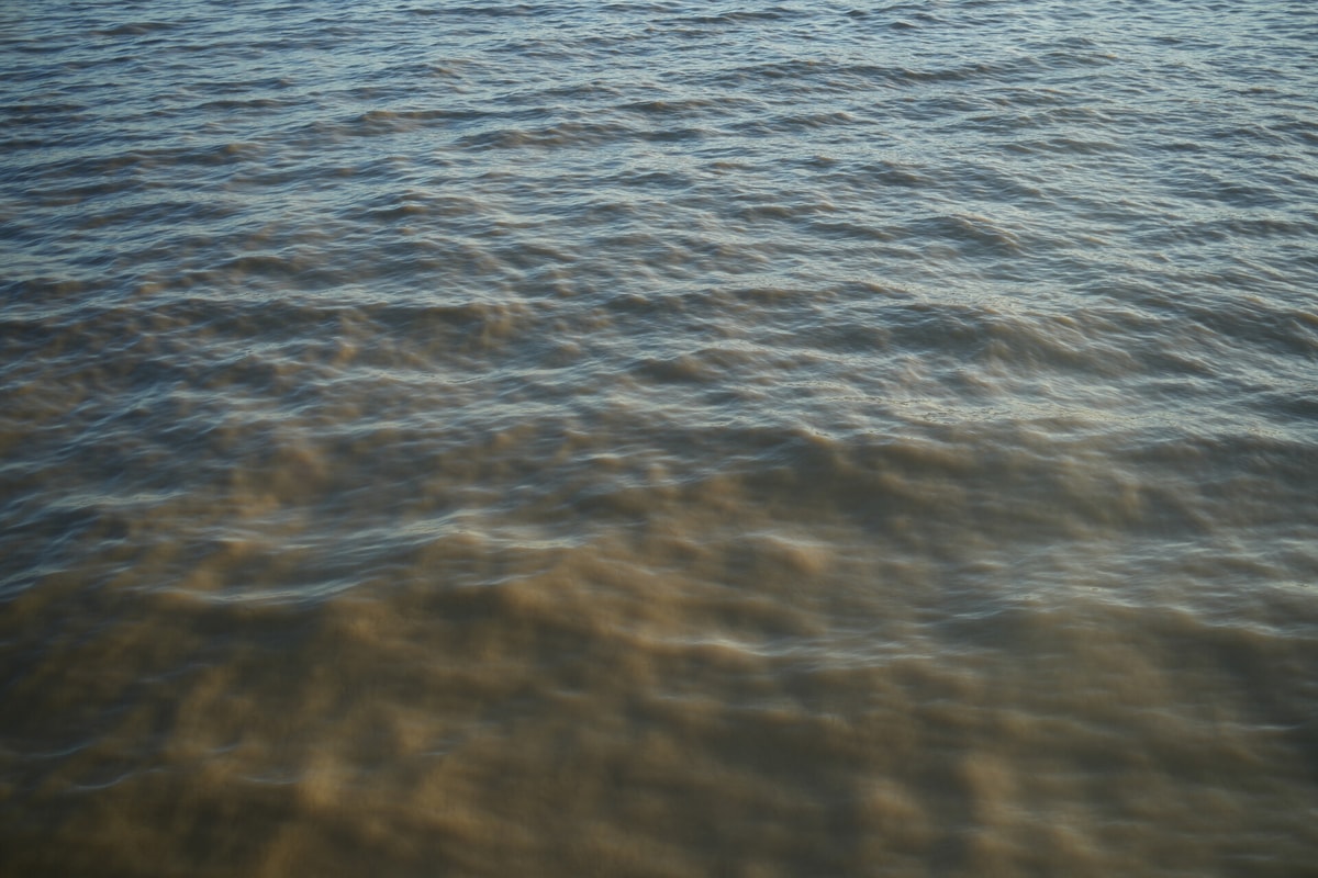 DSC04288.JPG_compressed.jpeg