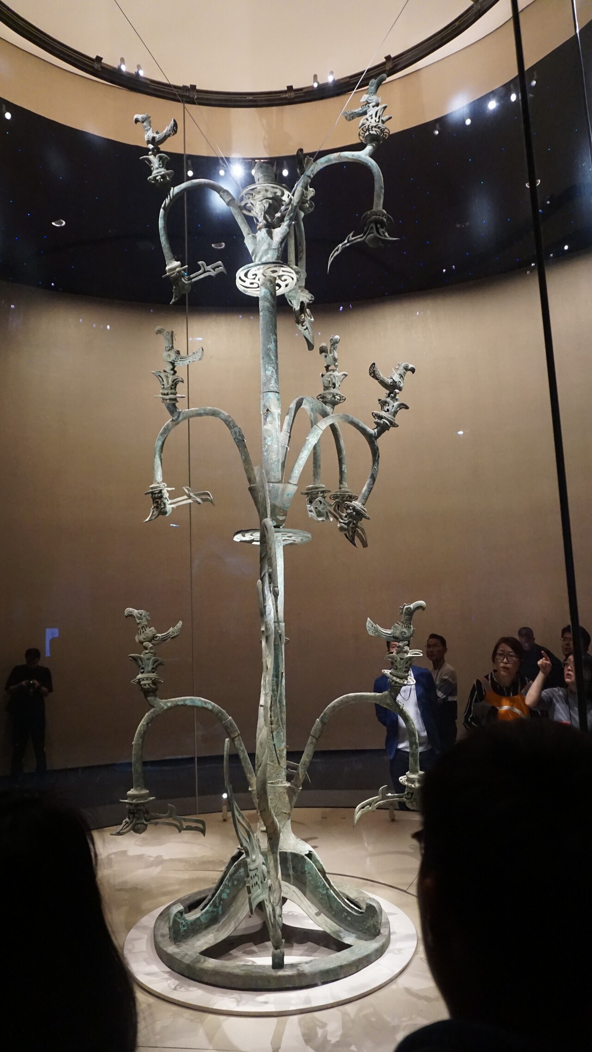 DSC03619.JPG_compressed.jpeg
