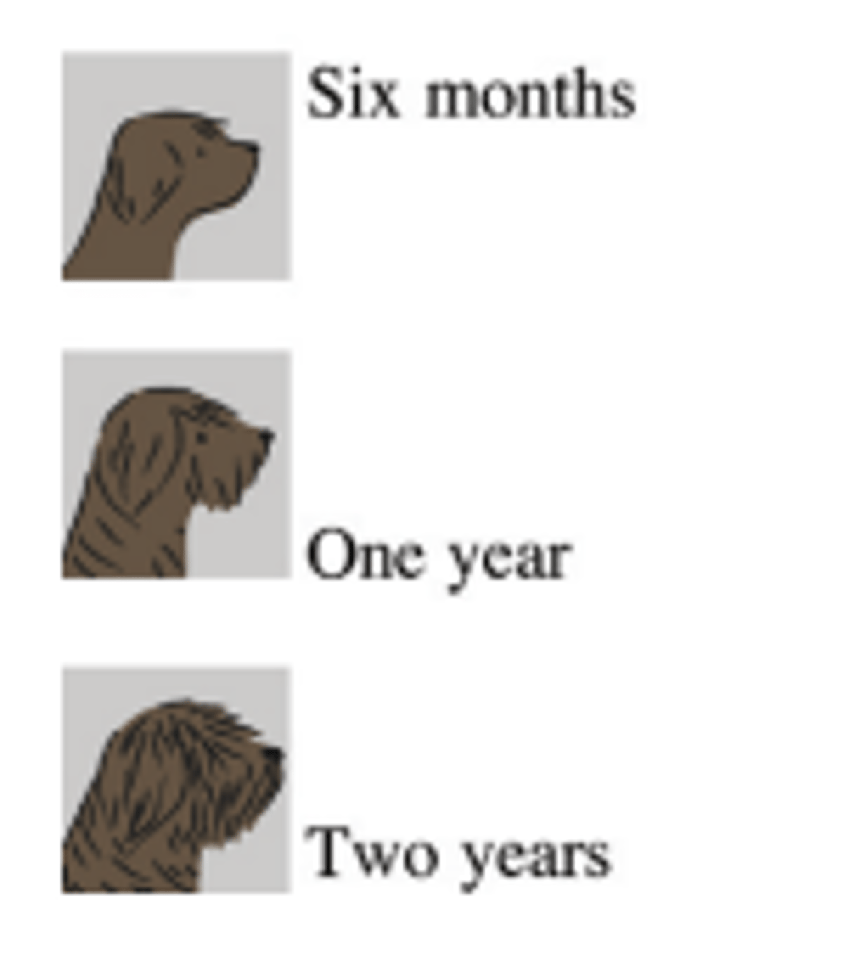 html-and-css13.png